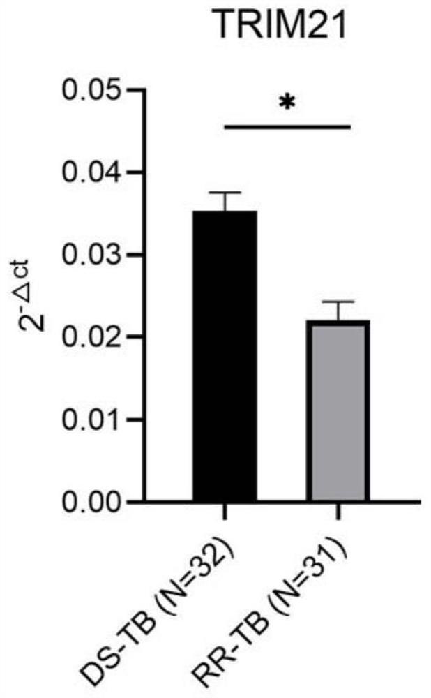 Rifampicin drug-resistant tuberculosis molecular marker, detection reagent and application thereof