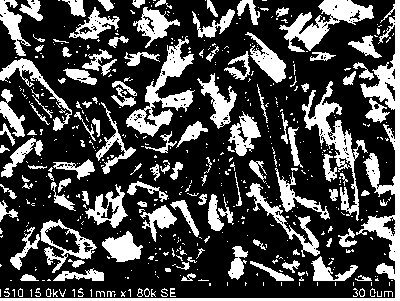 Preparation method of silver phosphate photocatalyst