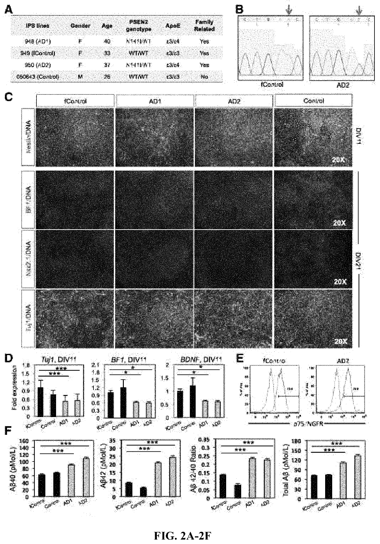 Method and composition for generating basal forebrain cholinergic neurons (BFCNS)