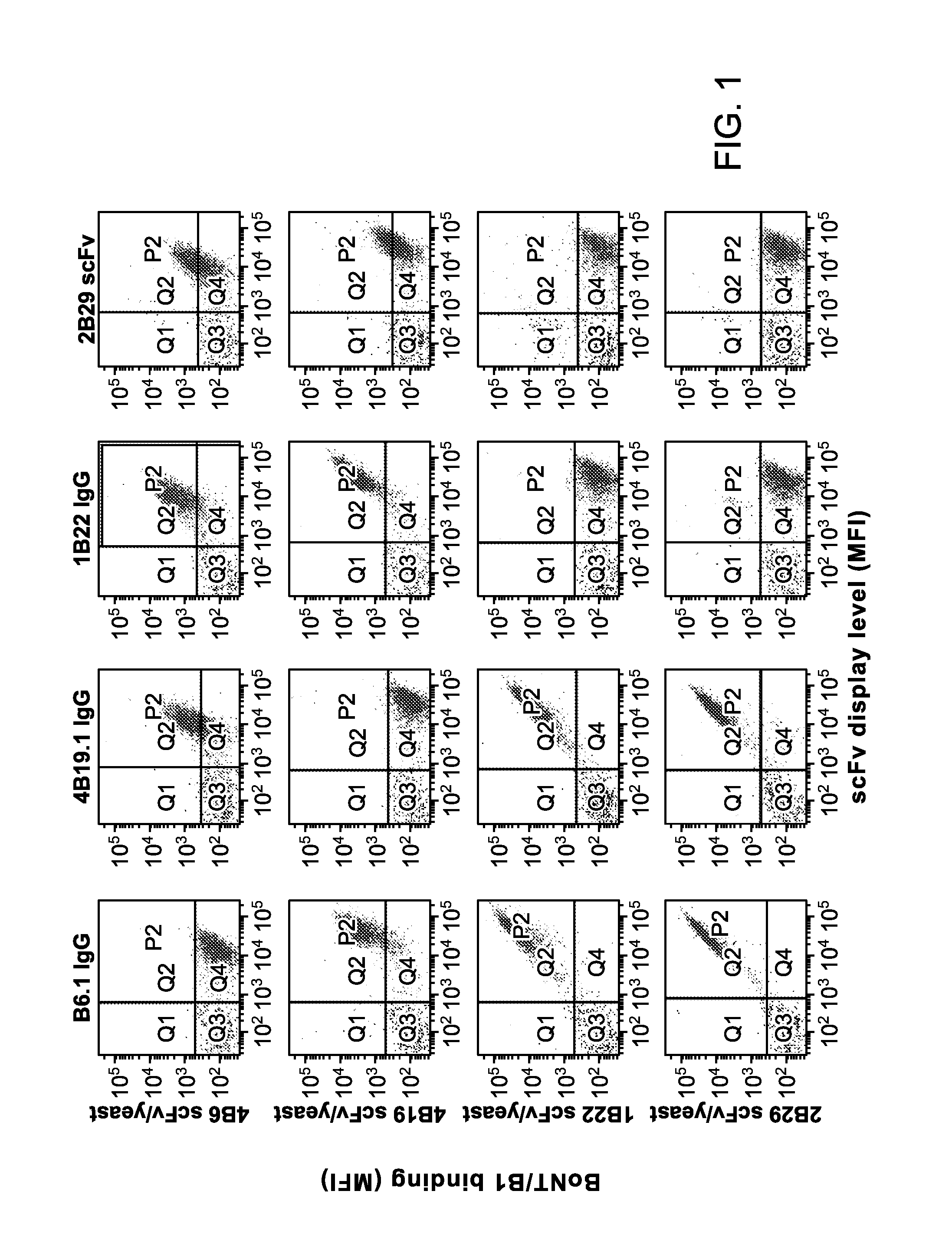 Antibodies for Botulinum Neurotoxins