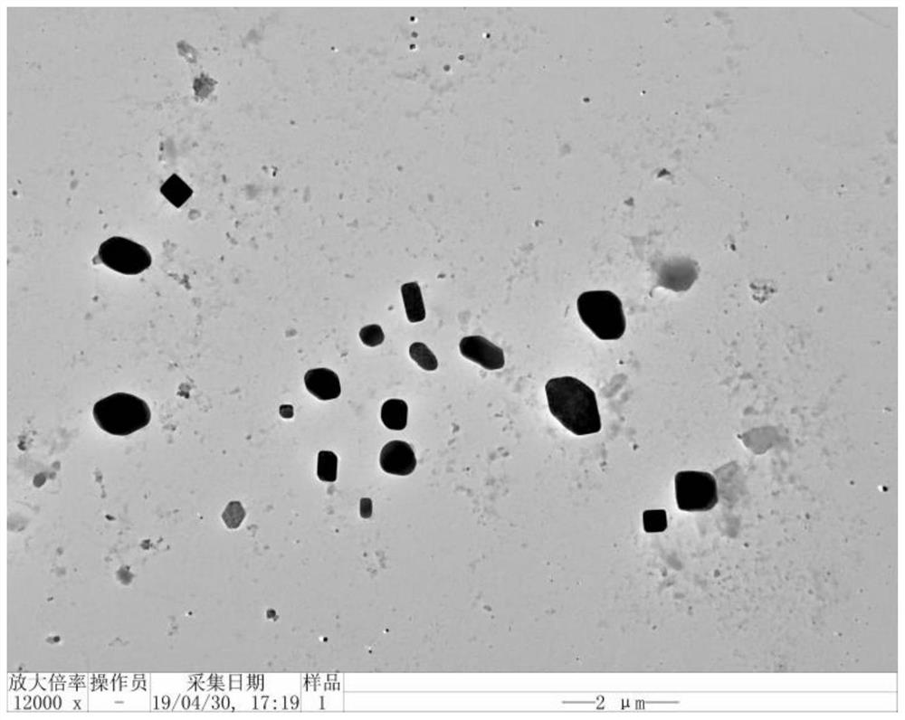 A kind of extraction method of magnetic particle in honeybee