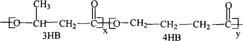 Composite containing polyhydroxybutyrate copolymer and polylactic acid used for foaming material