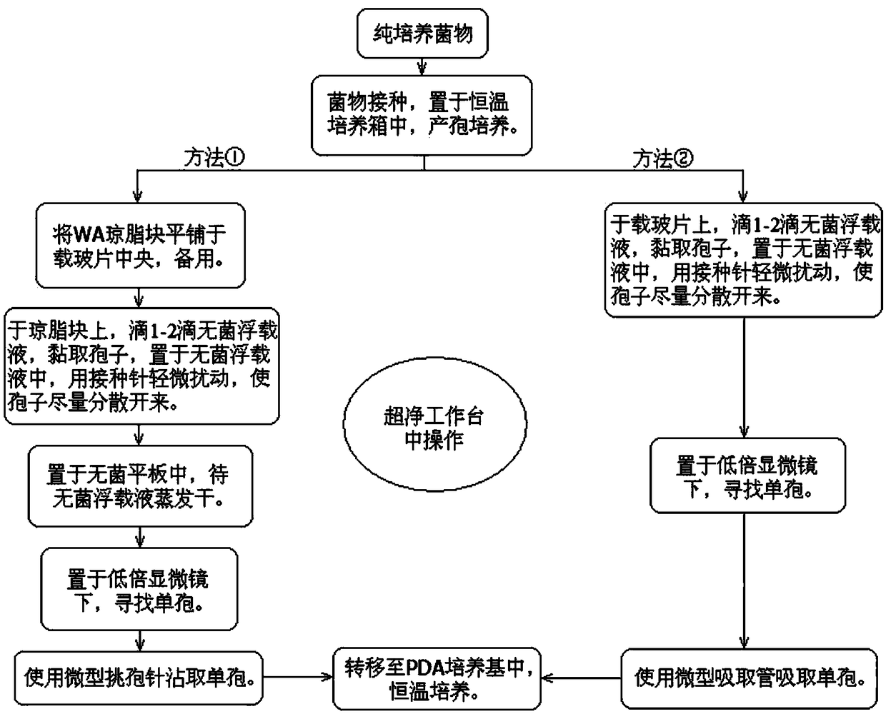 Plant pathogen purification and isolation method