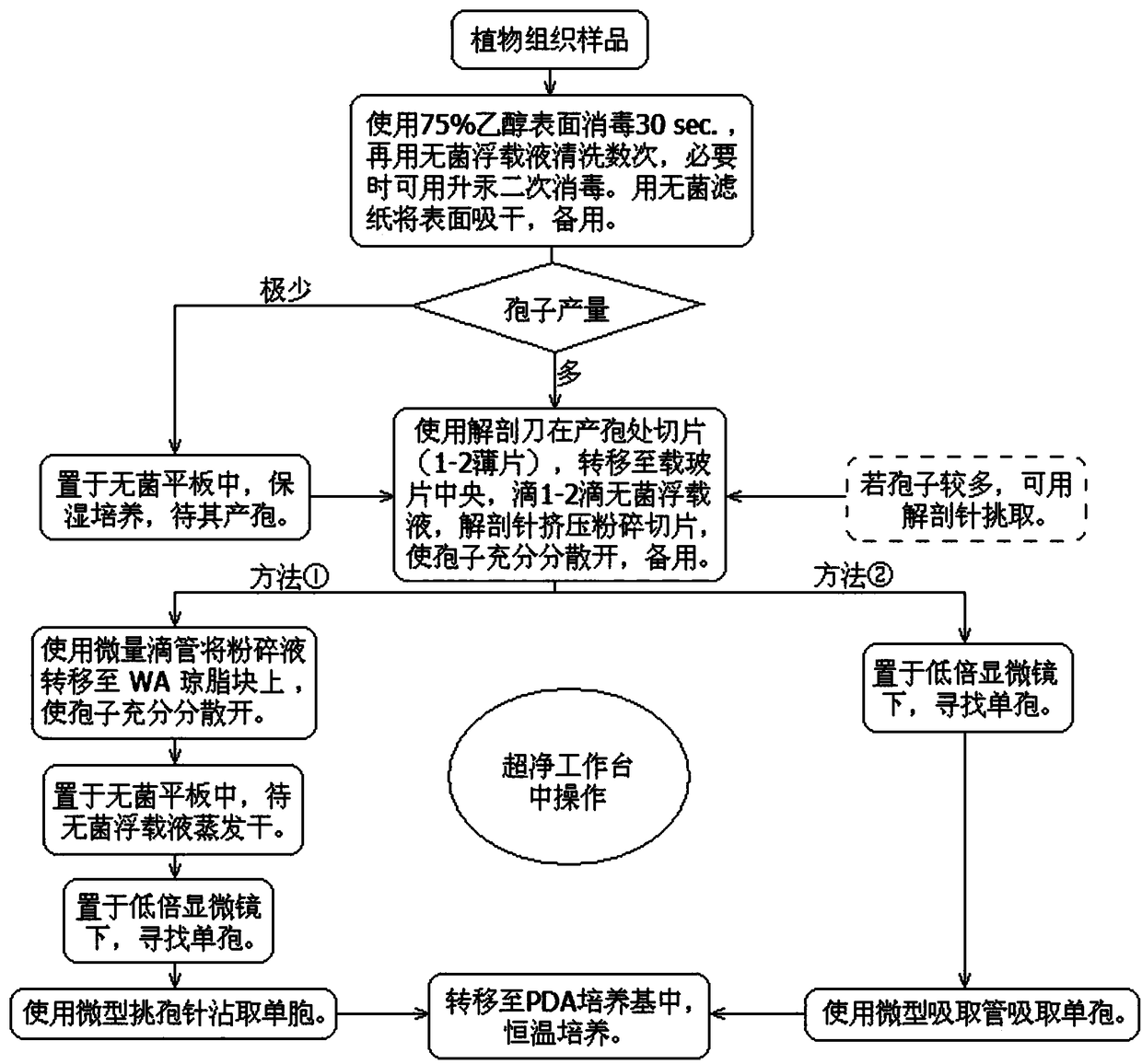 Plant pathogen purification and isolation method