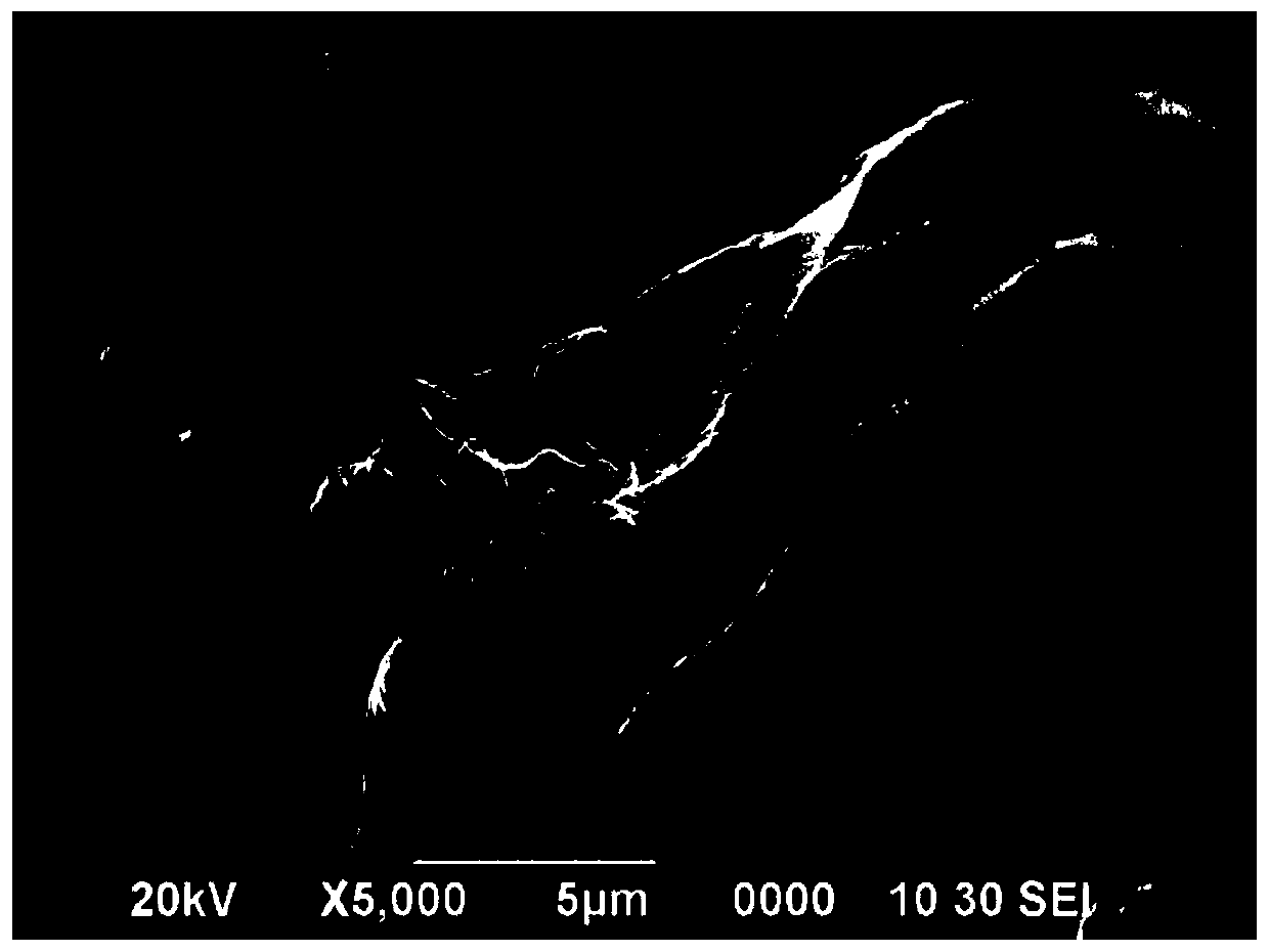 Preparation method of a cellulose nanofiber/silk fibroin-based porous nitrogen-doped 2D carbon nanosheet electrode material