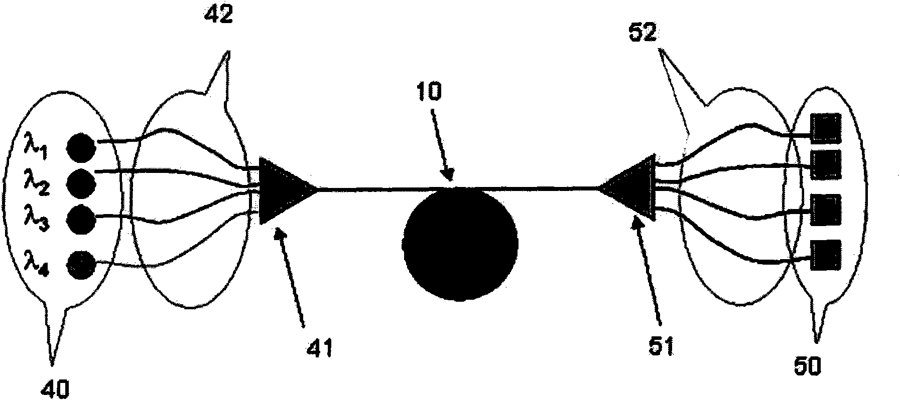 Wavelength multiplexed optical system with multimode optical fibers