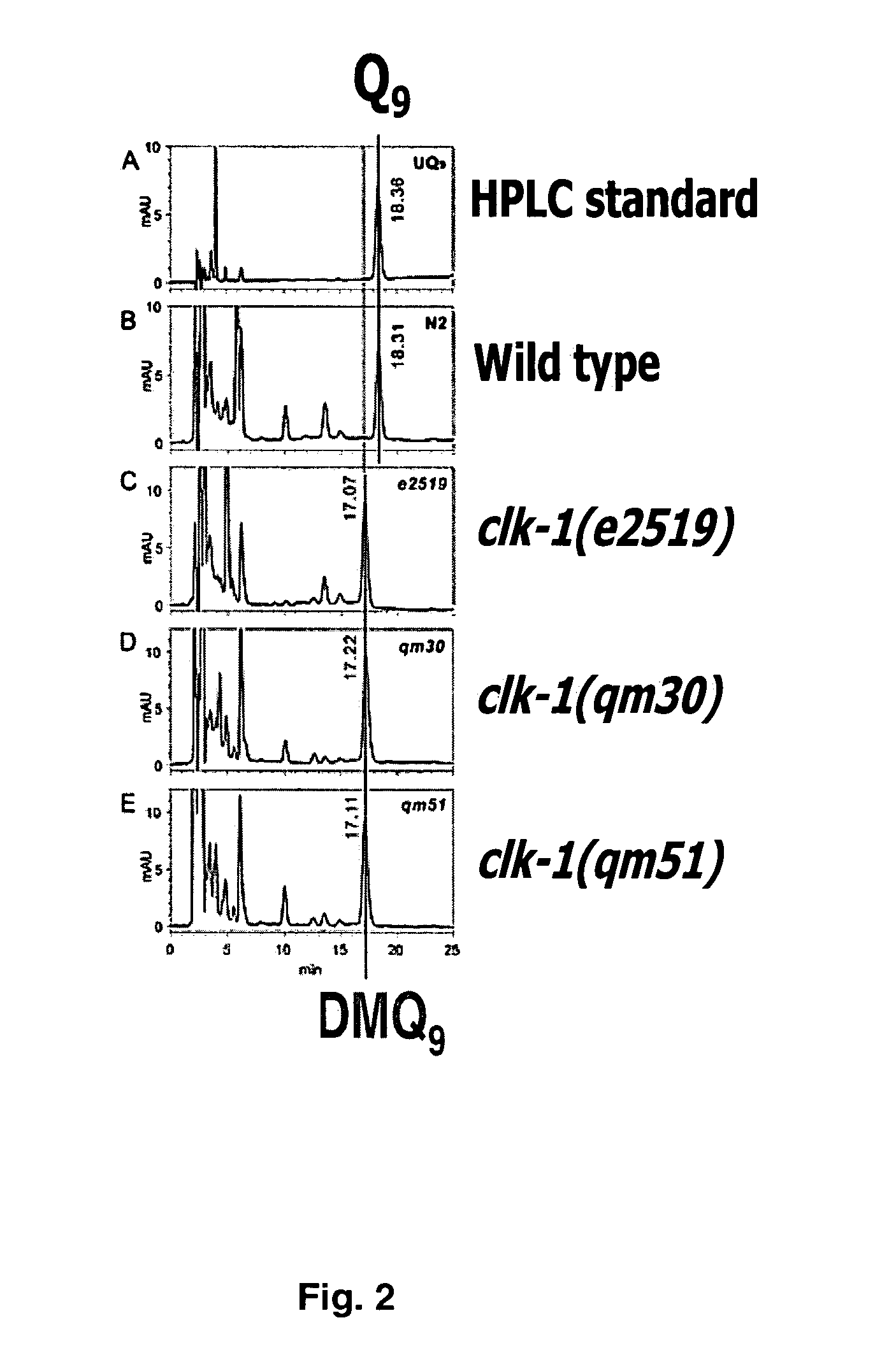 Method for identifying modulators of CLK-1 and UbiF activity