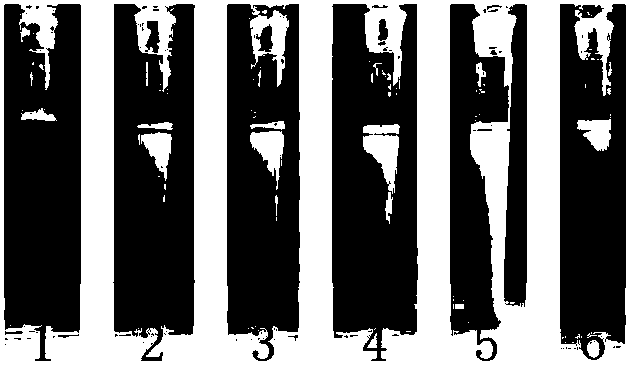 Stable tourmaline slurry and preparation method thereof