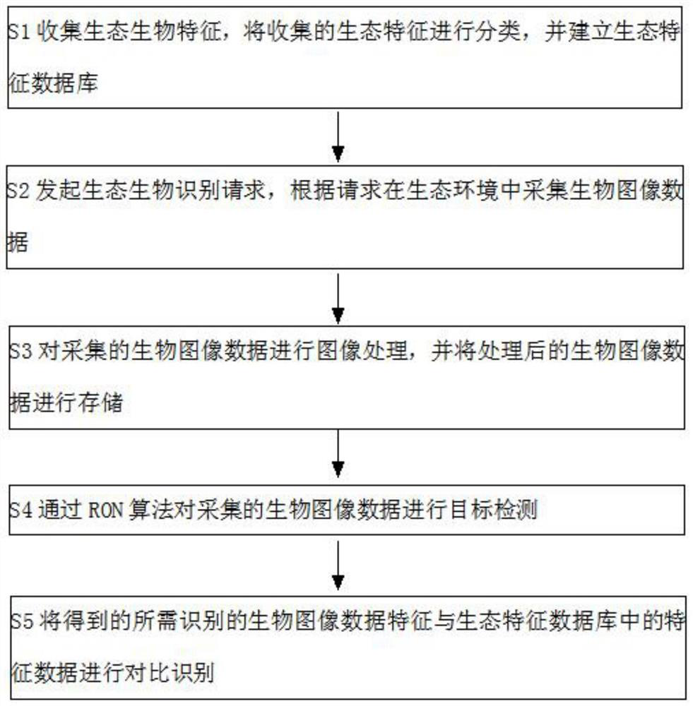 Ecological biological recognition method based on RON algorithm