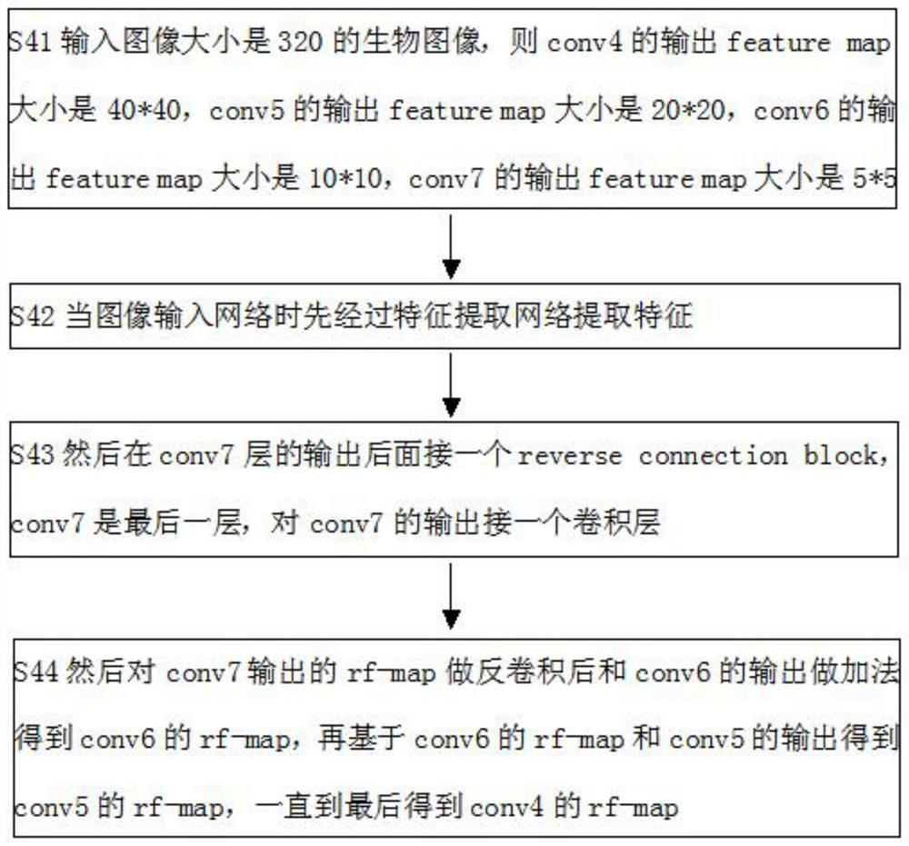 Ecological biological recognition method based on RON algorithm