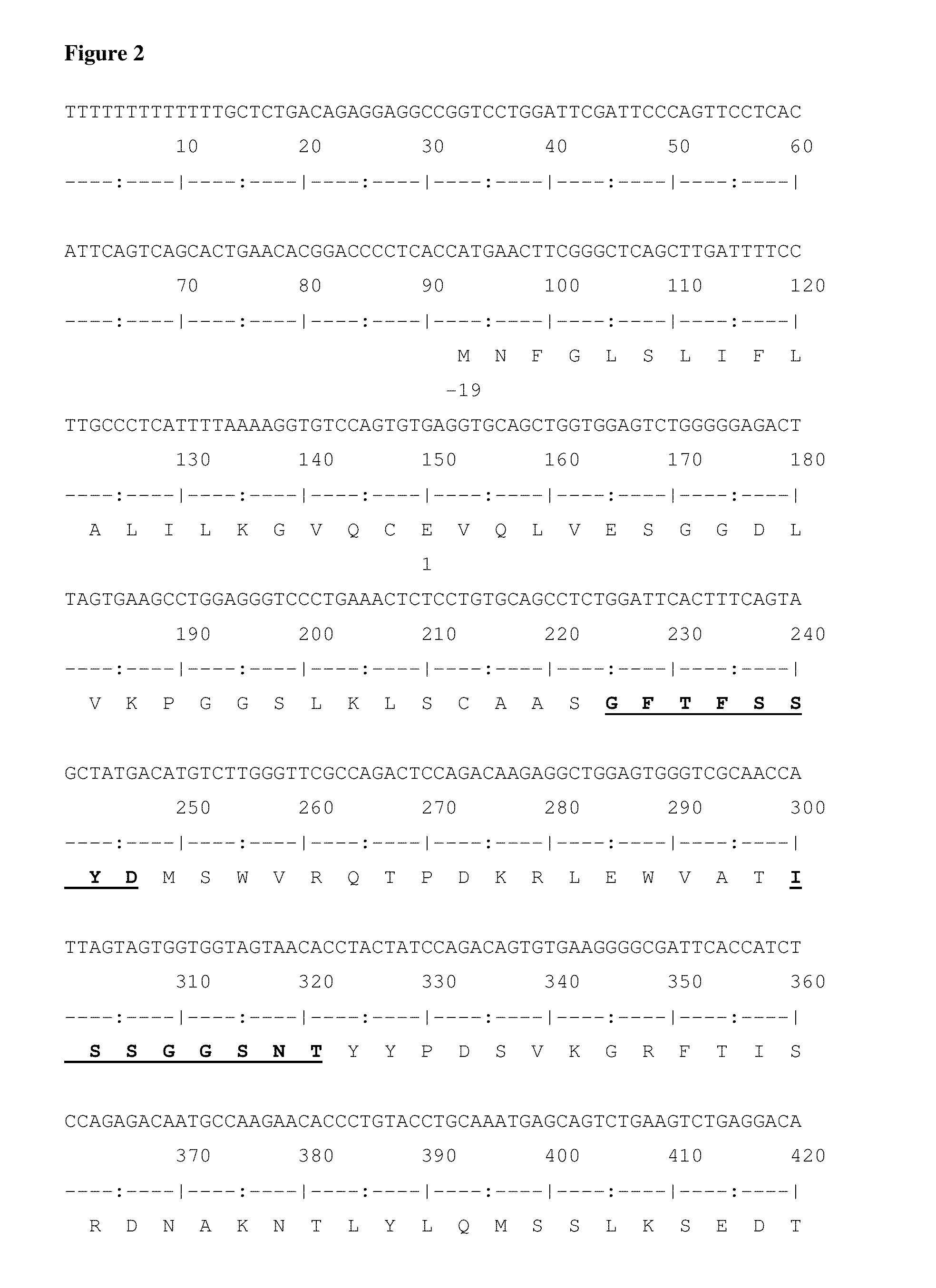 Agents, kits and methods for complement factor h-related protein 1 detection