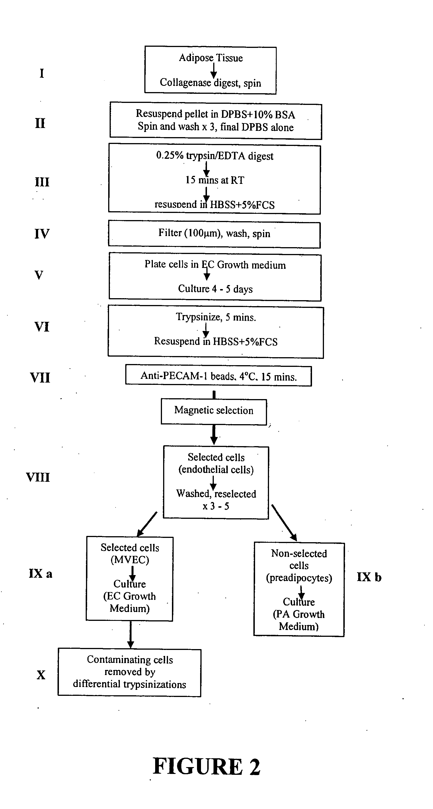 Differentiation modulating agents and uses therefor