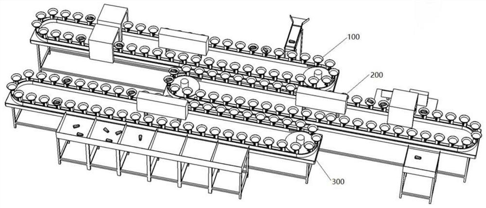 Fruit sorting machine