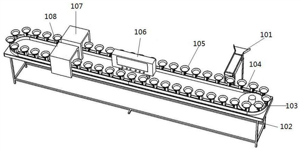 Fruit sorting machine