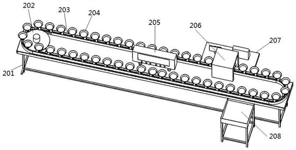 Fruit sorting machine