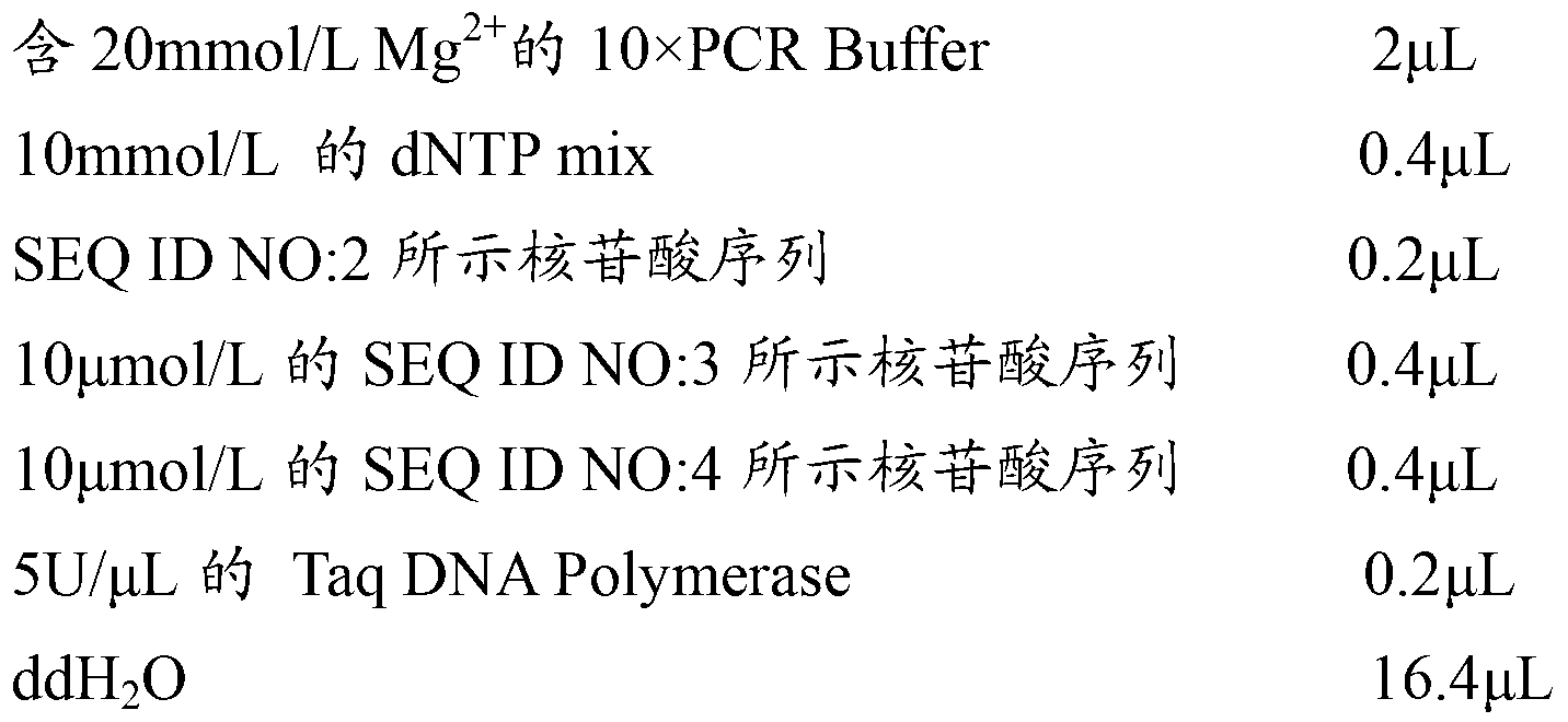 Mycoplasma pneumoniae recombinant antigen, and preparation method and application of mycoplasma pneumoniae recombinant antigen