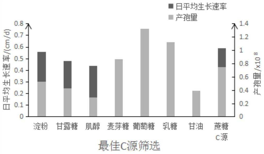 A kind of C. inflata bacterial strain and application thereof