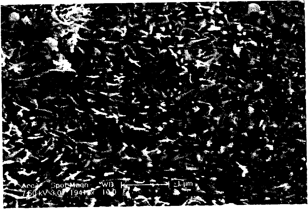 Natural lignocellulose material with modified zinc oxide and preparation method thereof