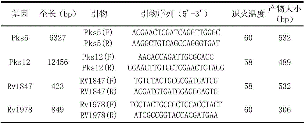 Antituberculous drug drug-resistance gene and screening method thereof