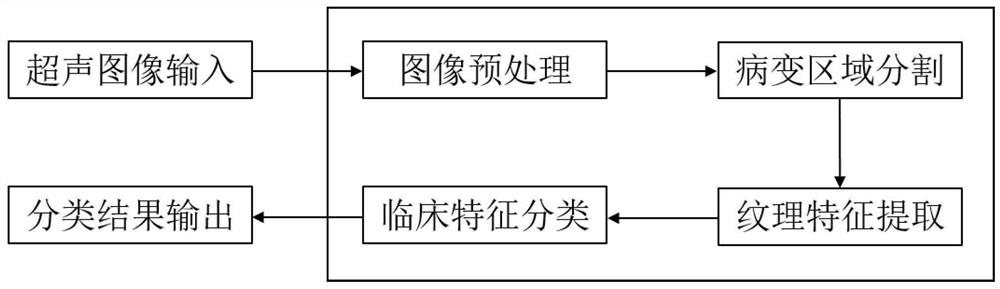 Portable ultrasonic pneumonia auxiliary diagnosis system based on artificial intelligence