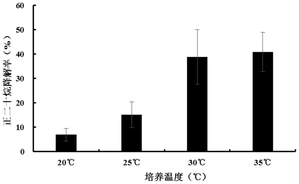 Arthrobacter capable of degrading n-eicosane and application thereof