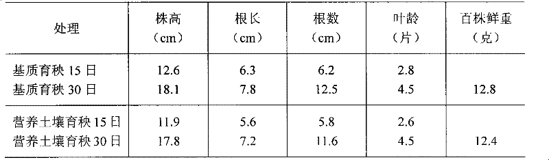 Rice seedling raising medium and rice seedling production method