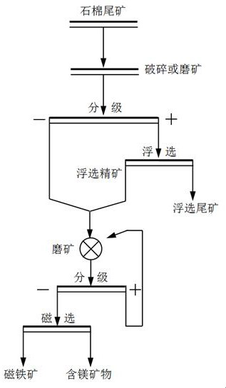 Method for enriching magnesium-containing minerals in asbestos tailings