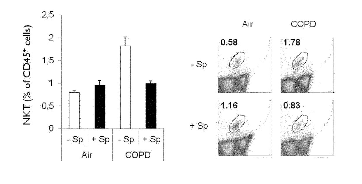 Methods and pharmaceutical compositions for the treatment of acute exacerbations of chronic obstructive pulmonary disease