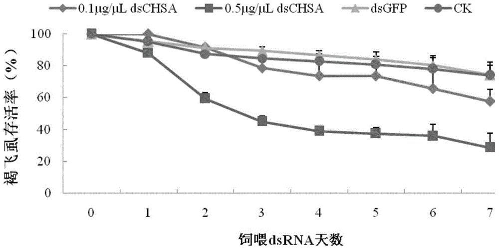 Chitin-synthesized inhibitory pesticide and preparing method and application thereof