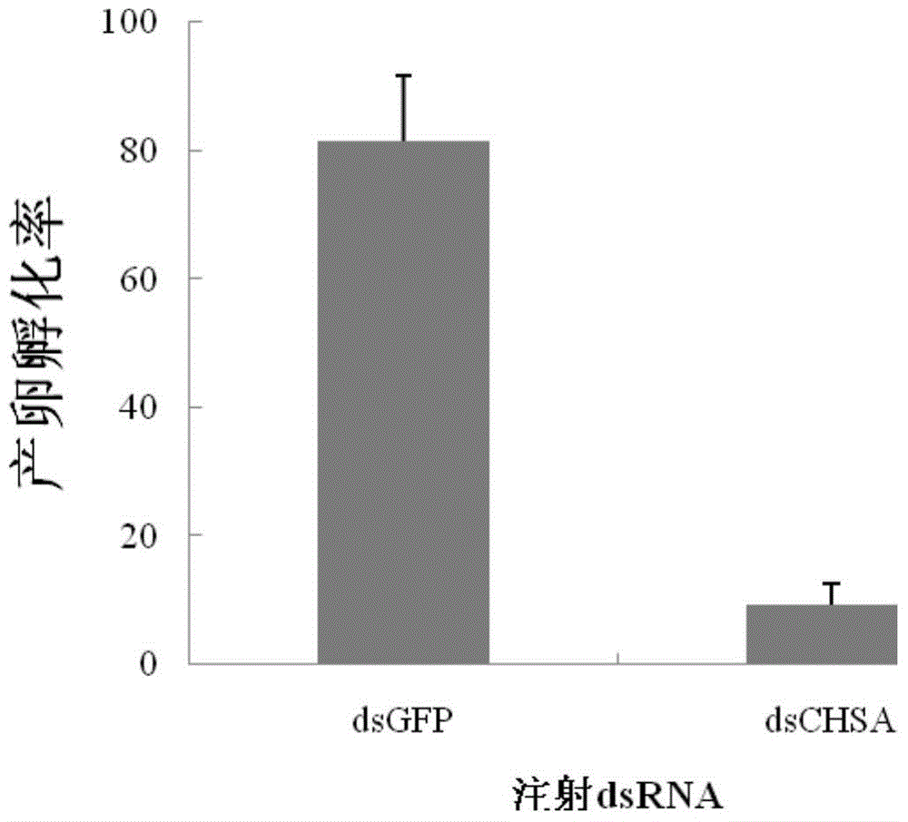 Chitin-synthesized inhibitory pesticide and preparing method and application thereof