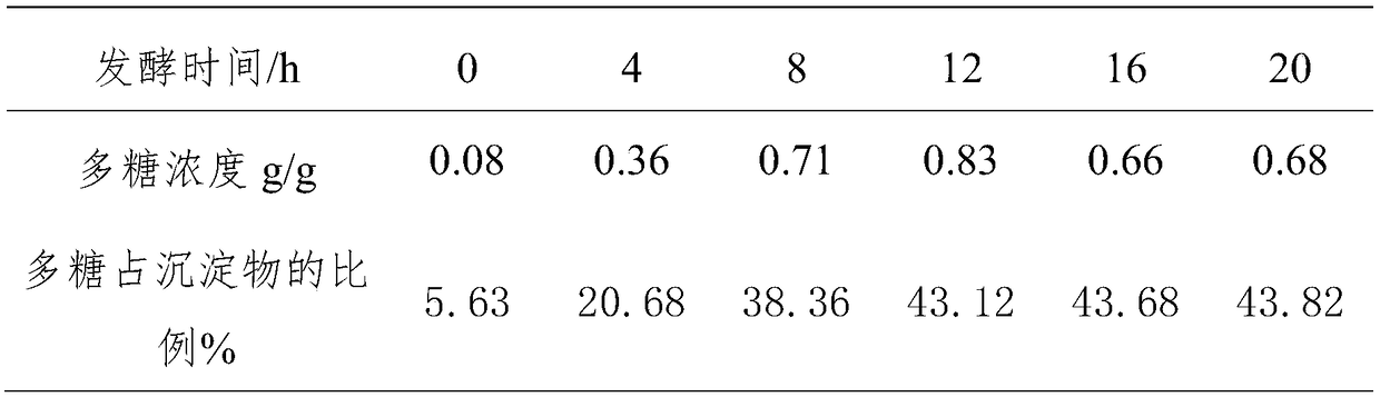 Method for increasing yield rate of spare rib dish based on repeated microorganism fermentation