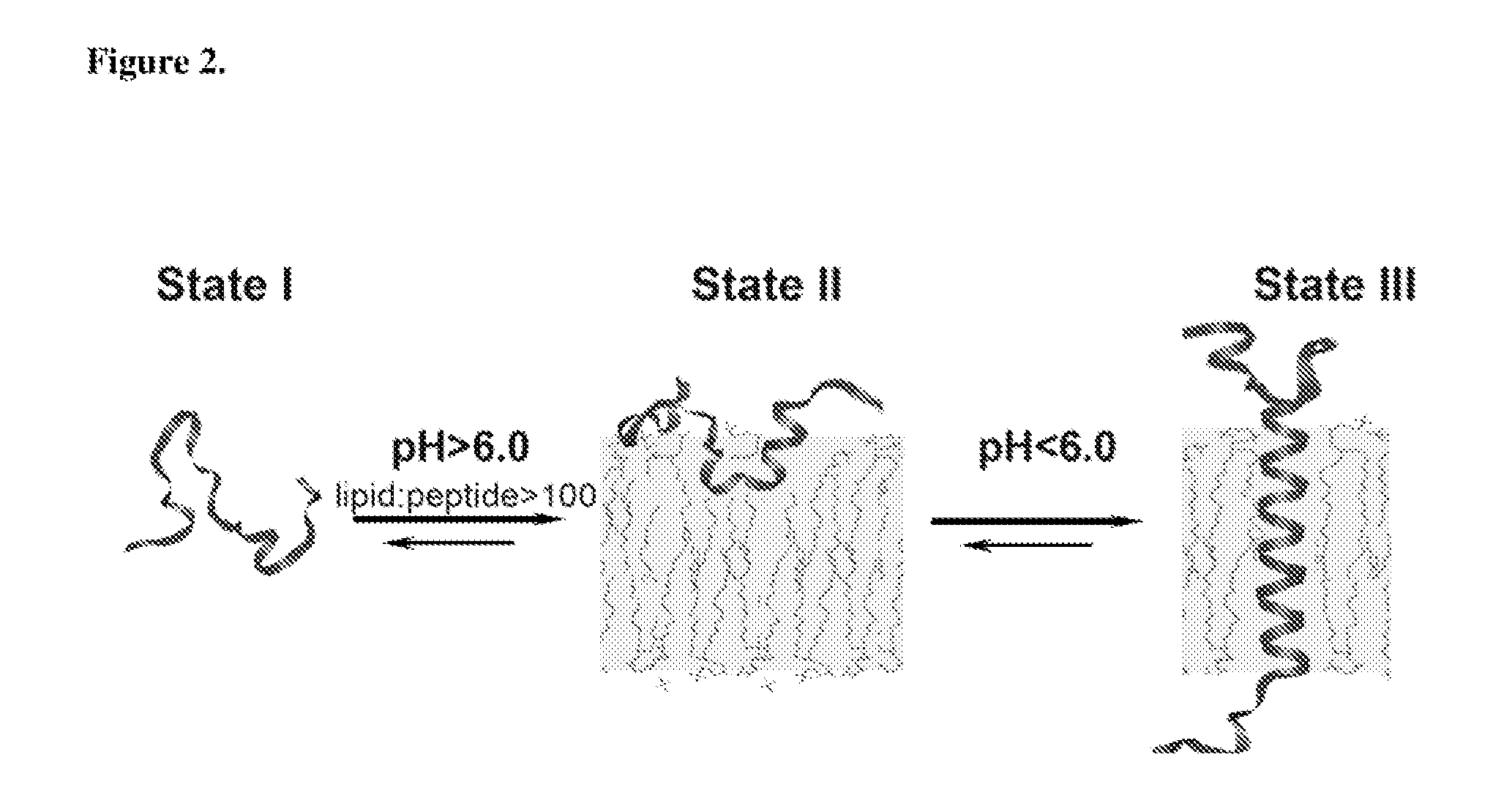 Environmentally Sensitive Compositions