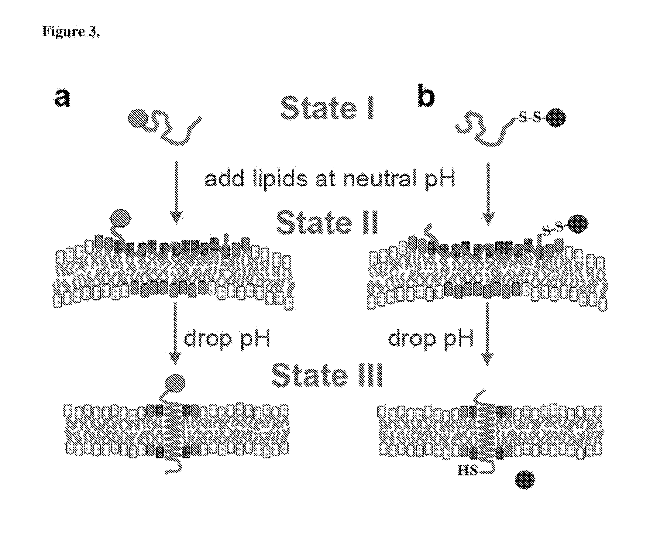 Environmentally Sensitive Compositions