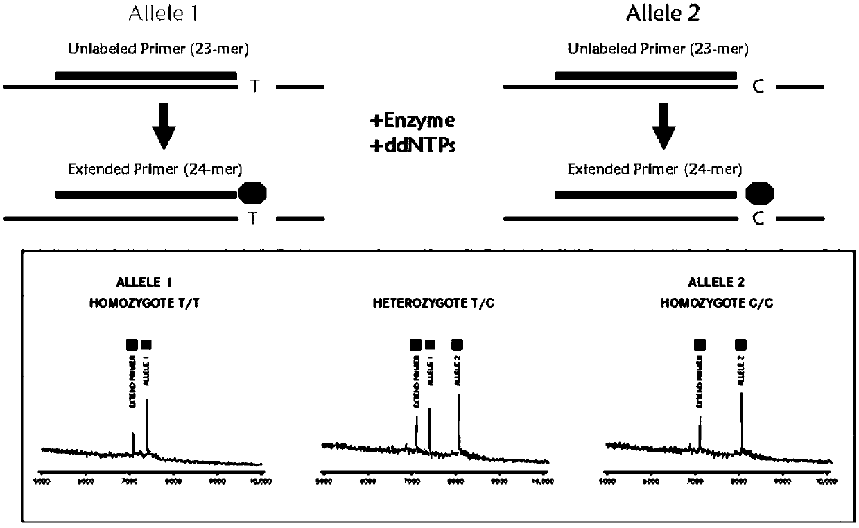 Detection product for judging individualized medication of nifedipine