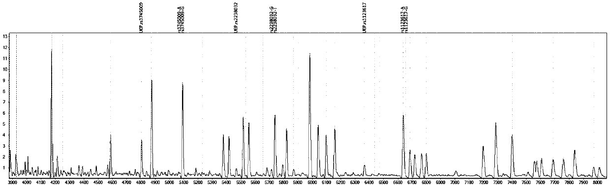 Detection product for judging individualized medication of nifedipine