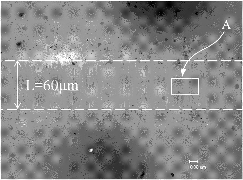 Device and method for manufacturing PDMS surface patterning puckers based on laser