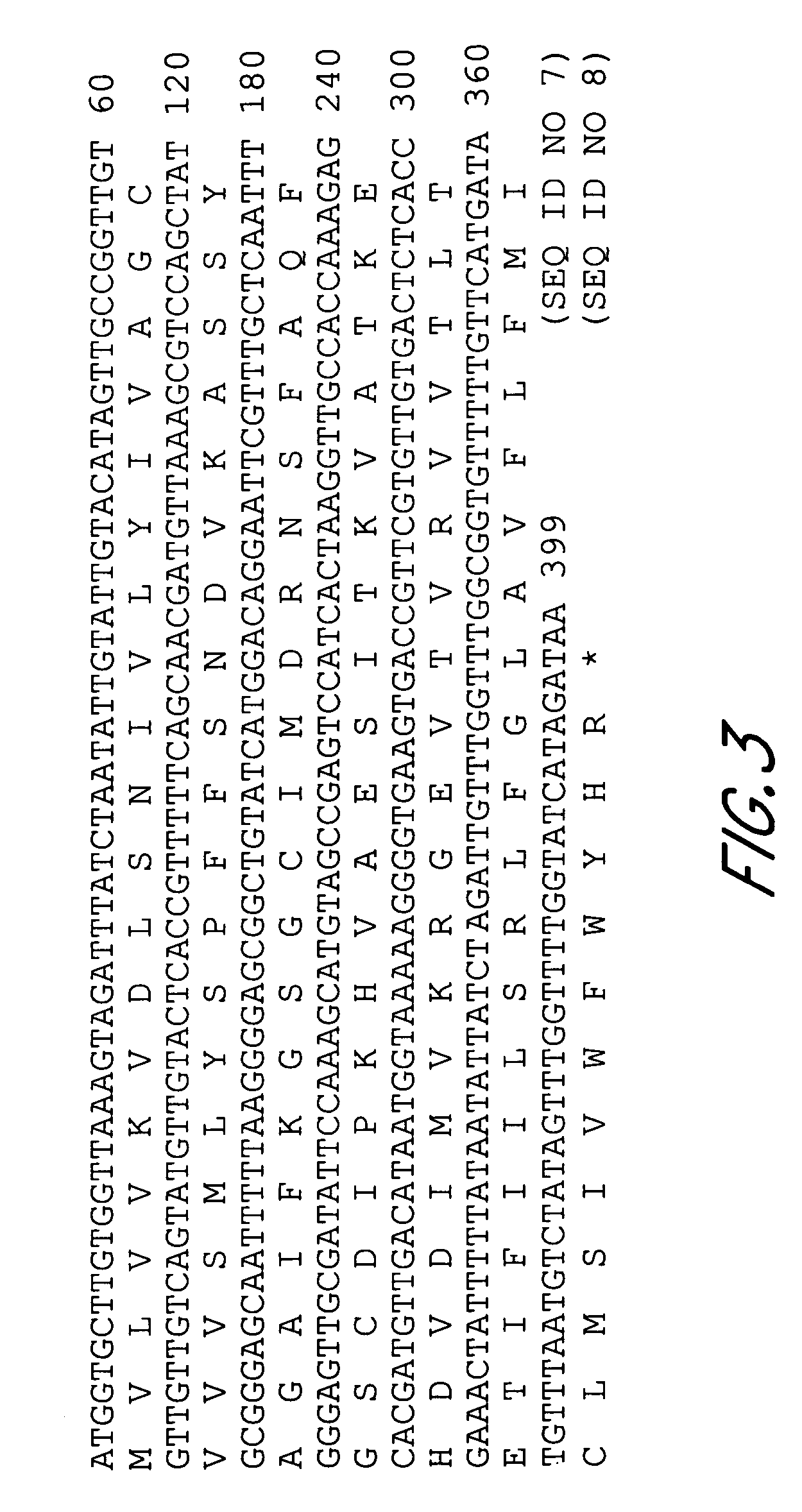 P15 hairpin constructs and use