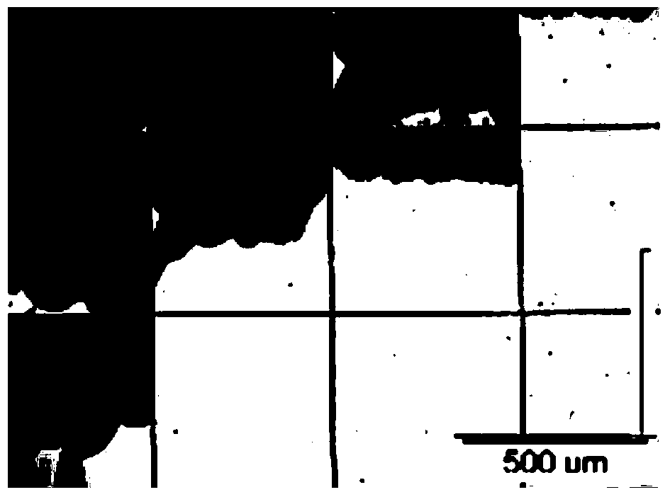 A source-drain electrode of a thin film transistor and its preparation method, a thin film transistor and its preparation method