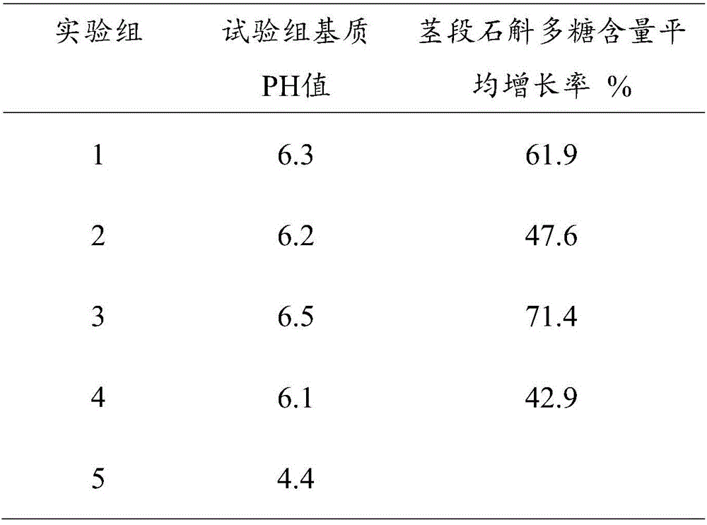 Bio-organic fertilizer of dendrobium officinale and raw materials and preparation method of bio-organic fertilizer