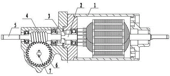 Motor for swimming pool washing machine