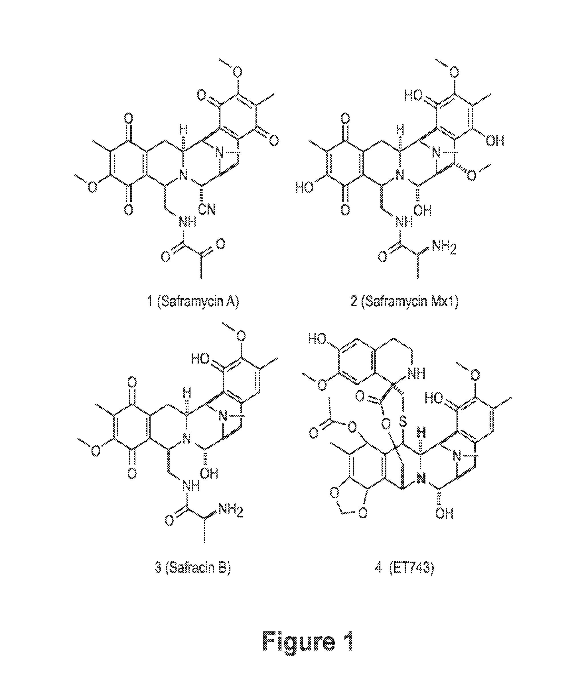 Biosynthetic Pathway for Heterologous Expression of a Nonribosomal Peptide Synthetase Drug and Analogs