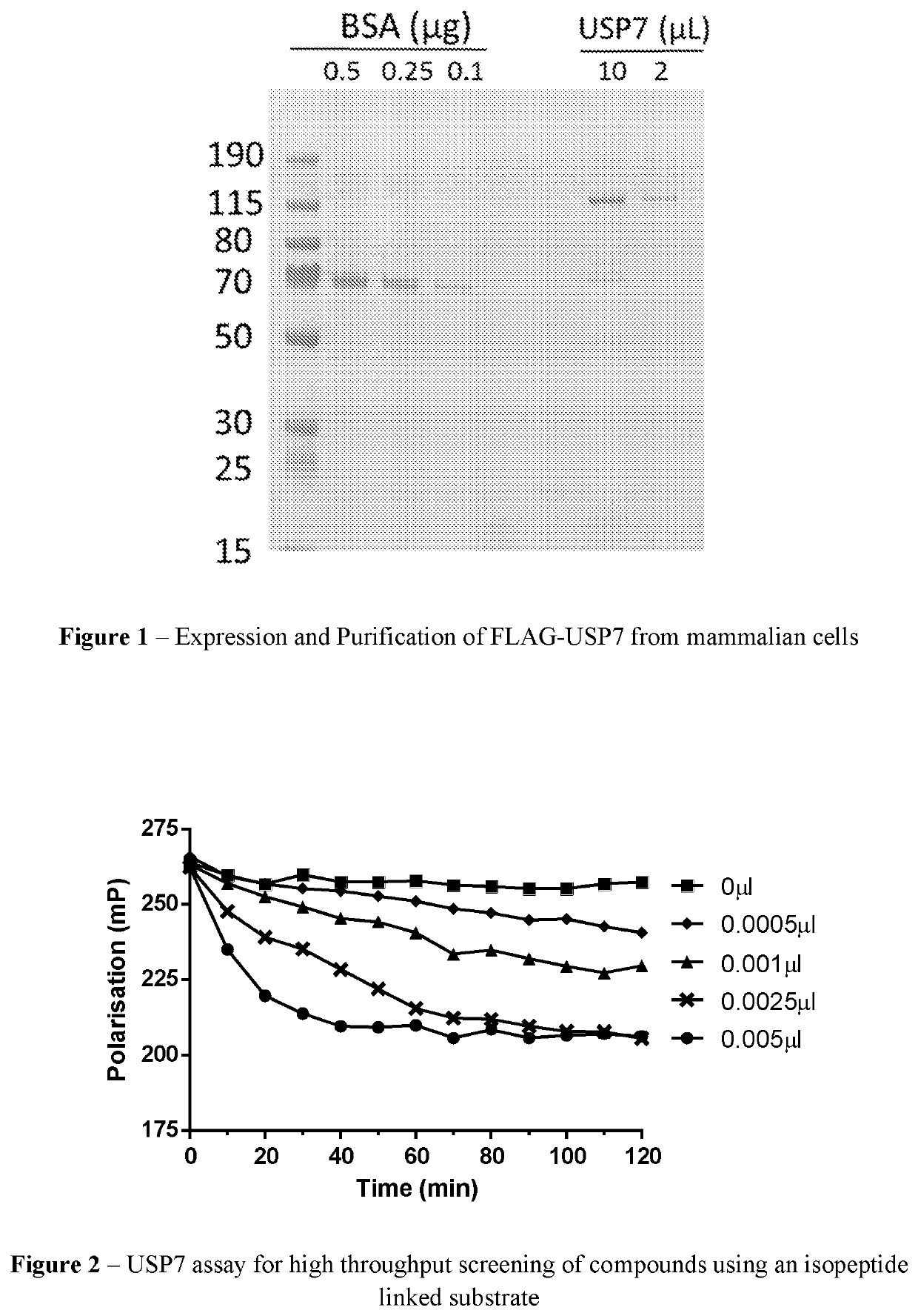 4,6 dihydropyrrolo [3,4-C] pyrazole-5 (1H)-carbonitrile derivates for treating cancer