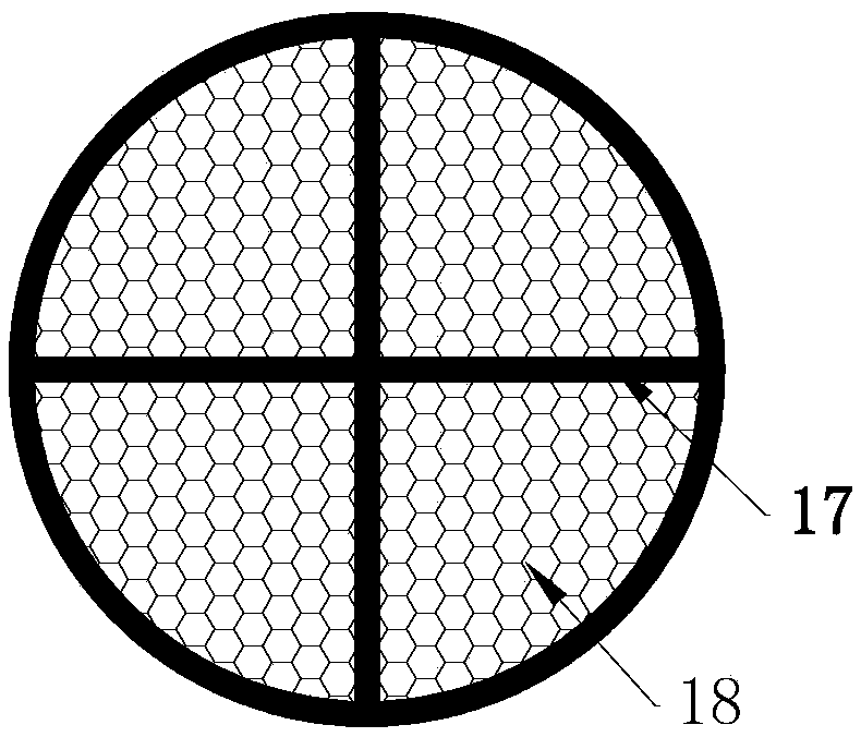 Trichogramma collecting deivce