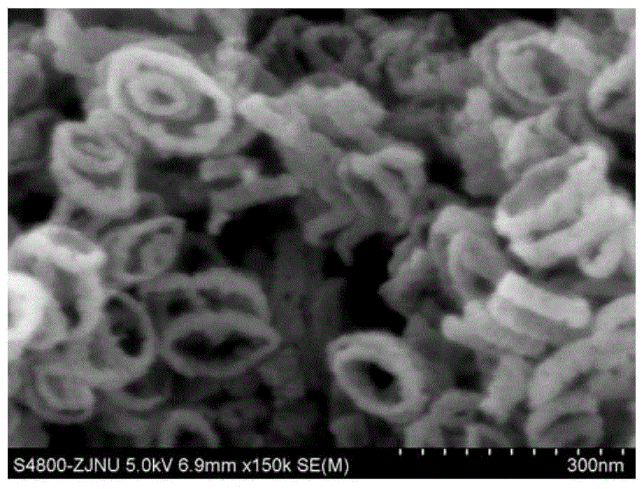 Preparation and Application of Magnetic Nanoring Microwave Absorber