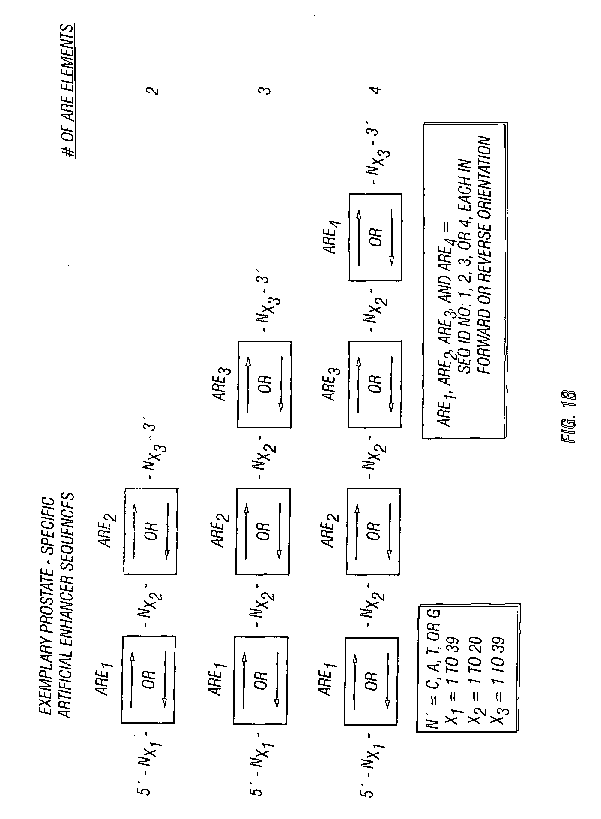 Chimeric transcriptional regulatory element compositions and methods for increasing prostate-targeted gene expression