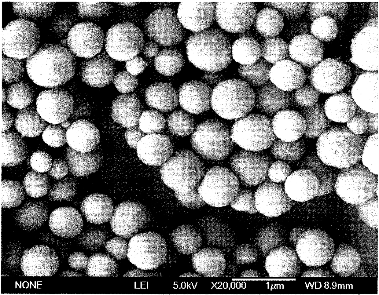 A kind of micronano scale fish oil/algae oil microcapsule and its preparation process