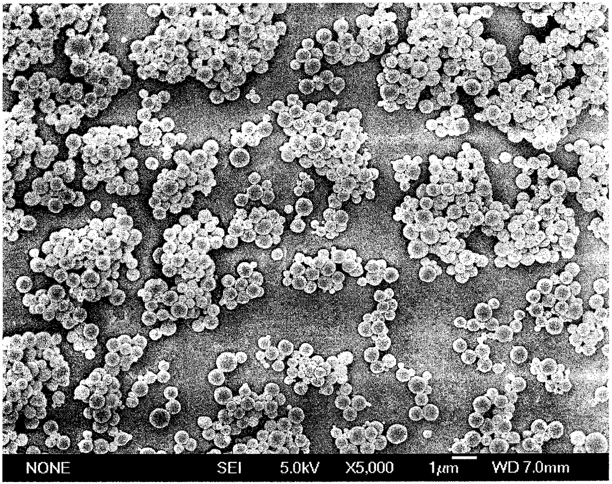 A kind of micronano scale fish oil/algae oil microcapsule and its preparation process