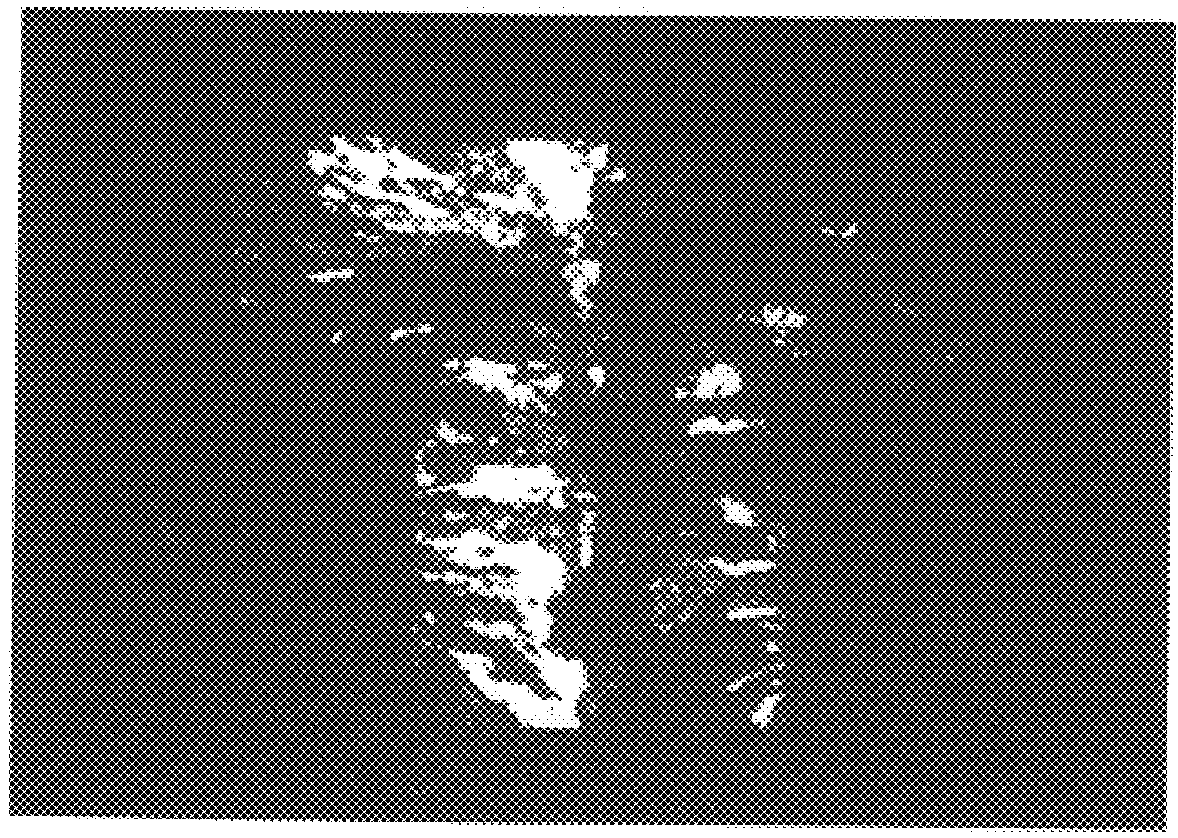 TiAl intermetallic compound-based alloy