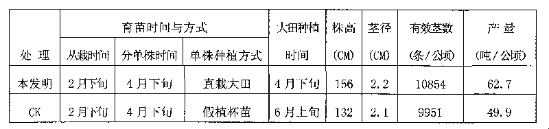 Sugarcane tissue-culture-seedling bare-seedling field-transplanting method