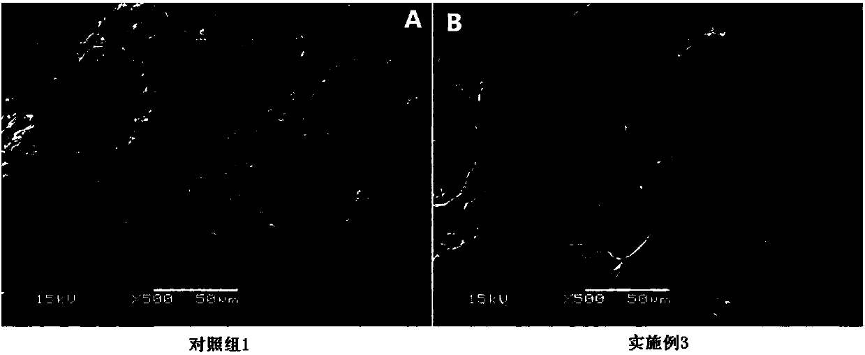 Application of arabinosidase in preparing wheat bran dietary fiber as well as wheat bran flour and wheat bran steamed buns prepared from arabinosidase